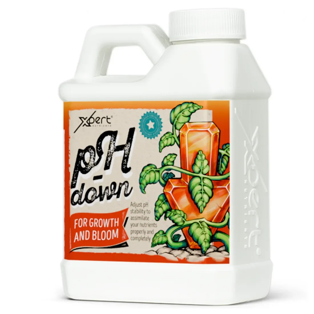 Xpert - Ph Down 0,25L - Billede 2